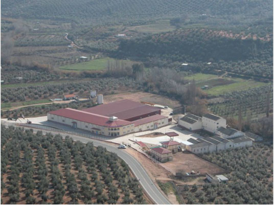 SCA San Juan de la Cruz, cooperativa de AOVE